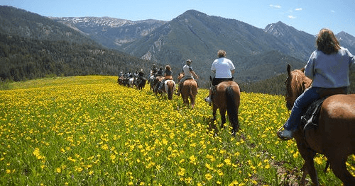 Wild West Horseback Ride at Yellowstone River