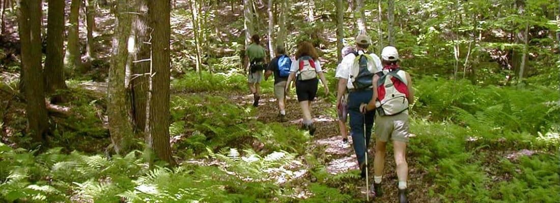 Hiking Adventure in Park City’s Scenic Trails