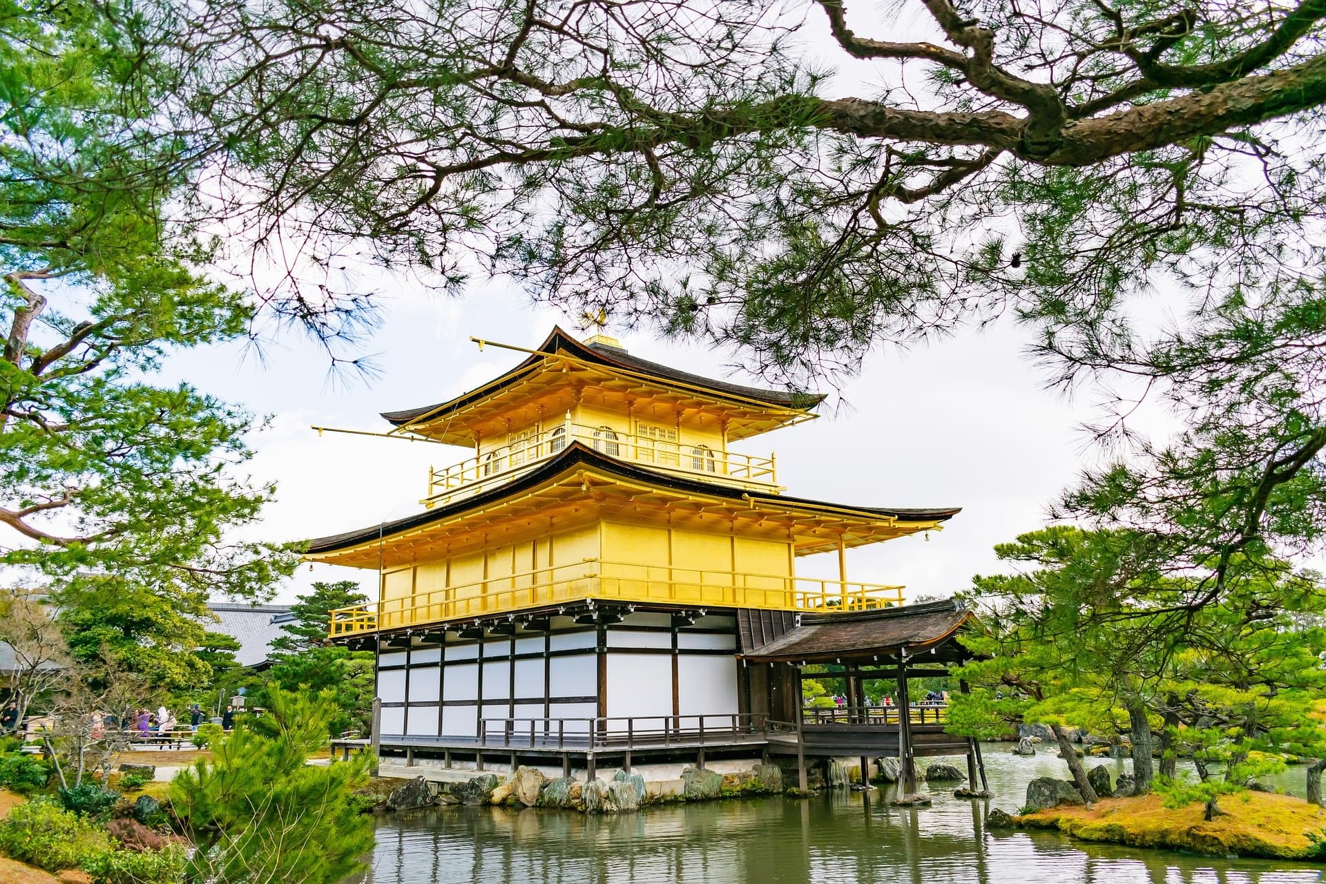 Kyoto Highlights Bus Tour with Amigo Tours Japan