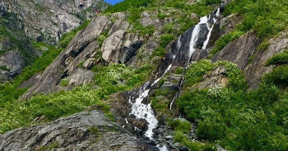 Alaskan Wildlife Conservation Center & Turnagain Arm: Half-Day Wildlife Drive