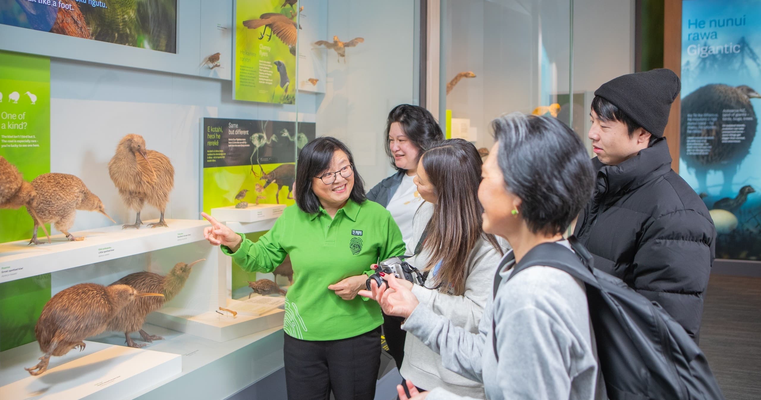 Te Papa Highlights Tour by Zozo Travel Limited in Wellington