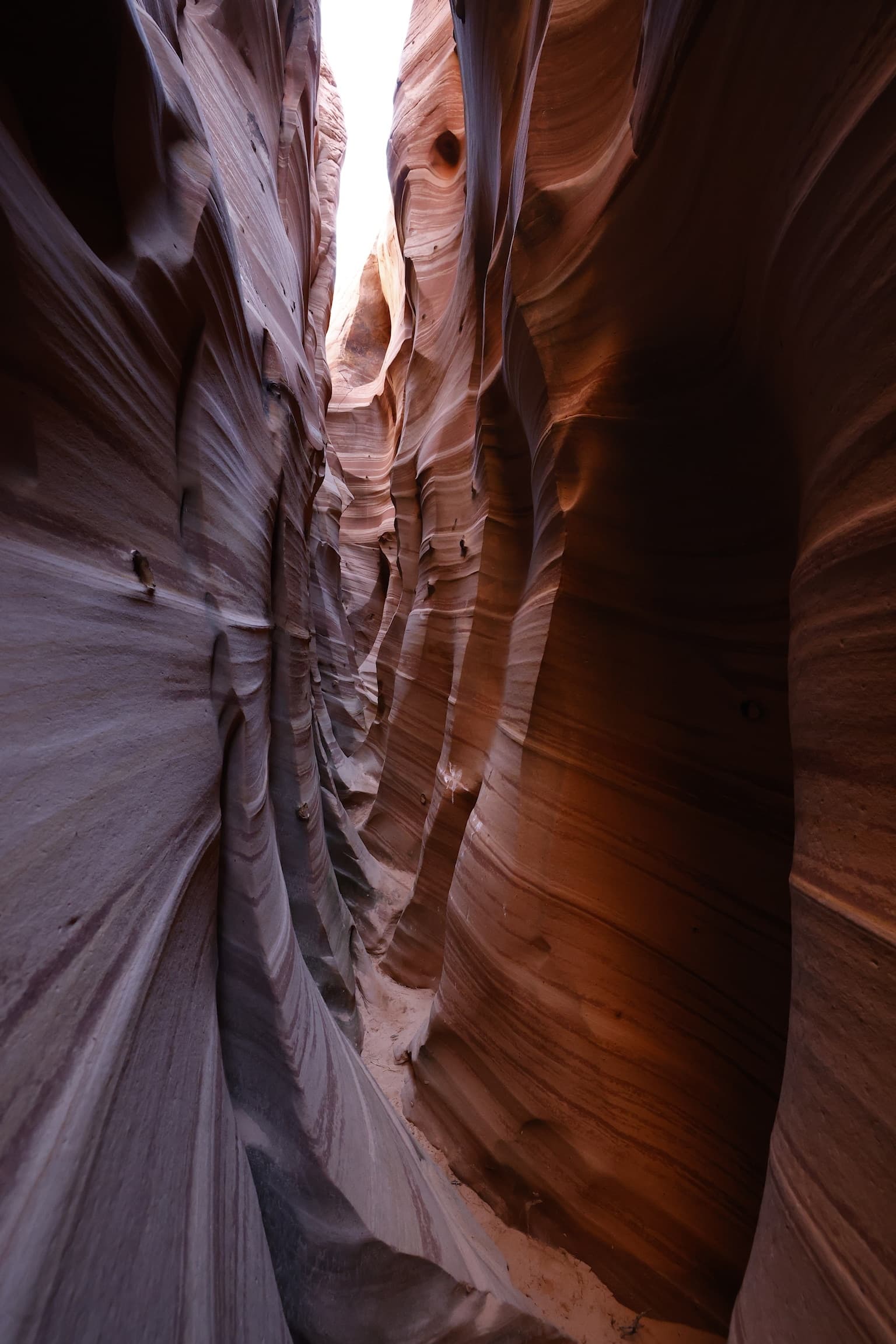 Zebra Slot Canyon Hiking Tour | Hiking in Escalante, Utah