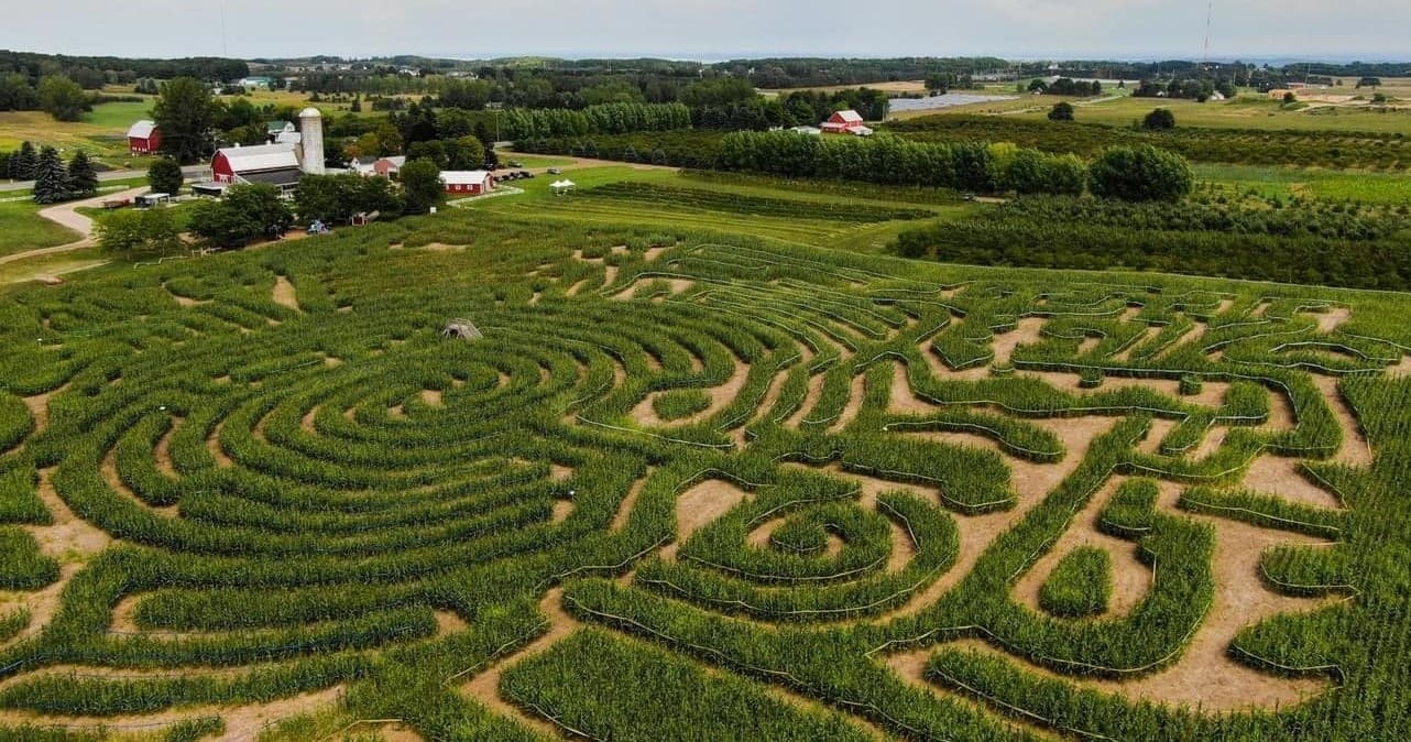 Aerial view of large corn maze across rural Midwest farm fields