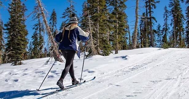 Badger Pass Ski Area fleet