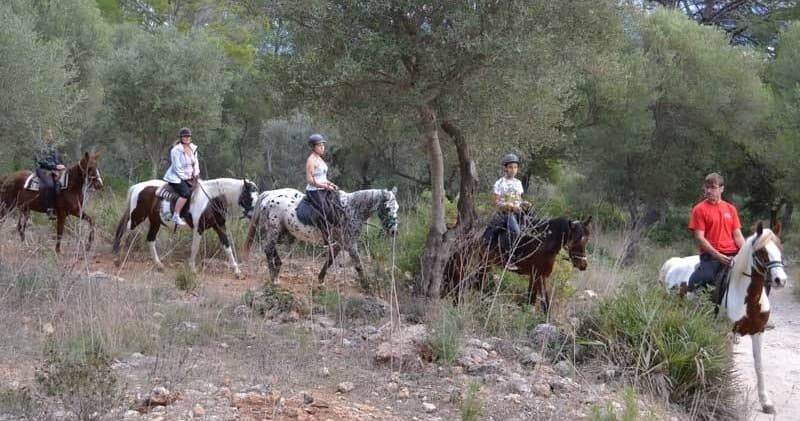 Trail horseback riding through dry scrubland and pines