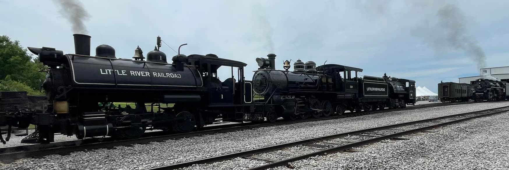 Little River Railroad fleet