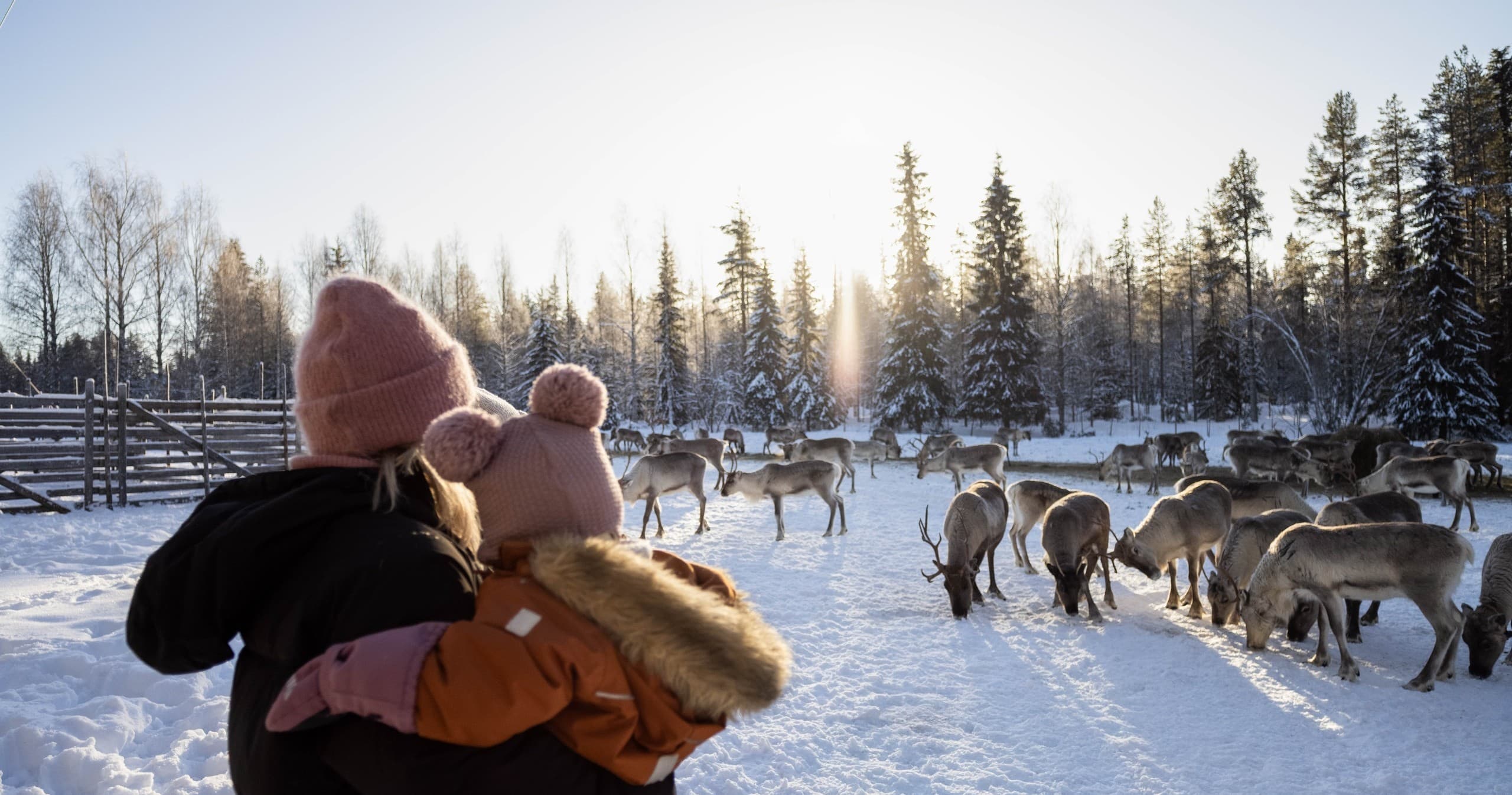 Meet the Reindeer: A Two-Hour Farm Visit Near Syöte photo 2