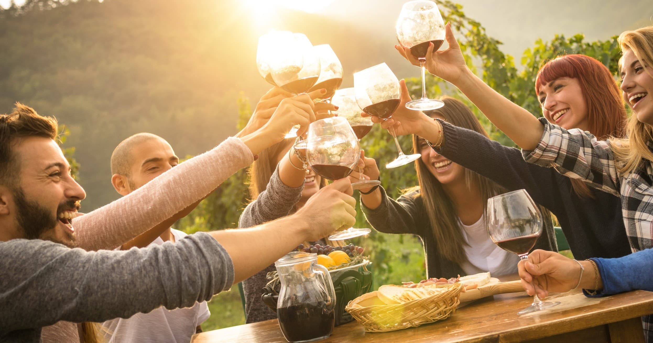 Wine & Scenic Views: Yarra Valley Winery Tour by The Adventure Collective