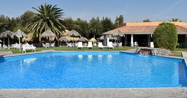 Outdoor resort swimming pool with palm trees and loungers