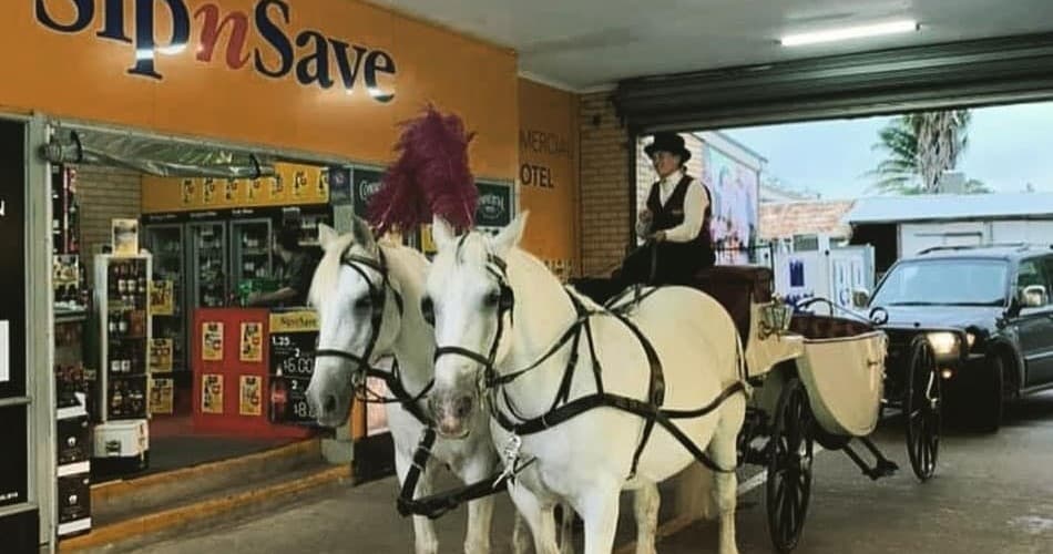 Land Adventures in Strathalbyn with Horse Drawn High Tea