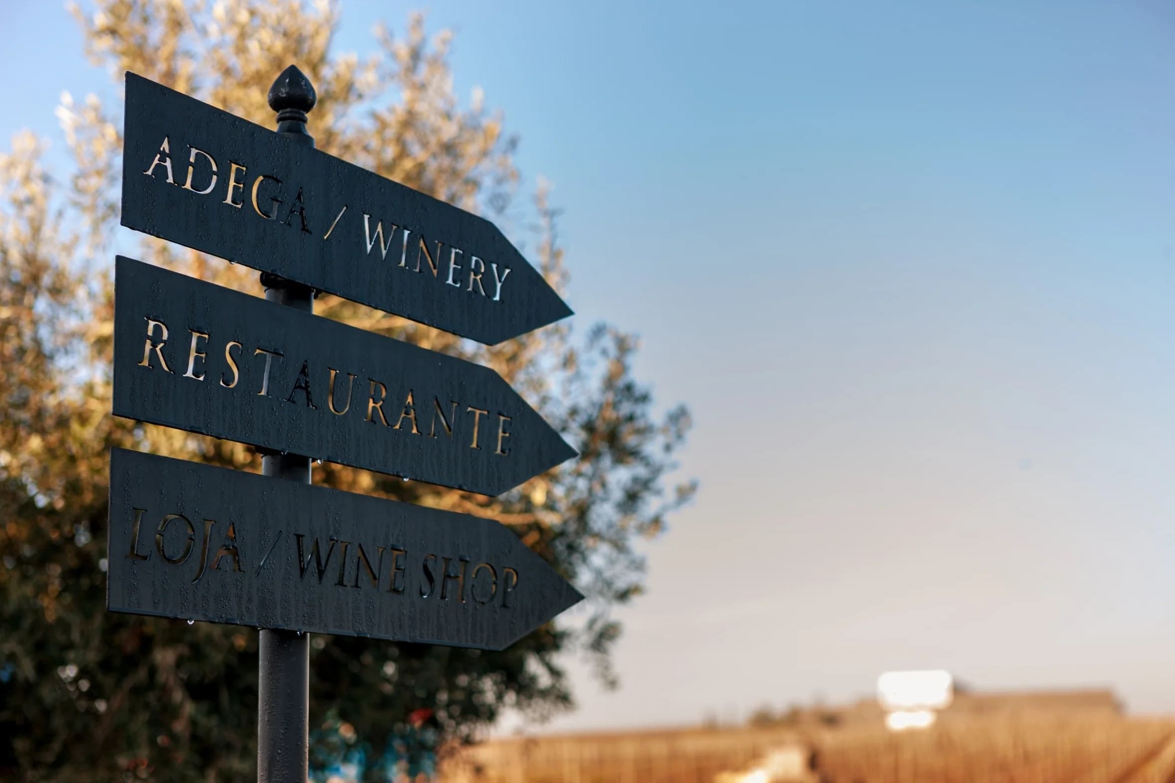 Directional vineyard signpost pointing to winery and restaurant
