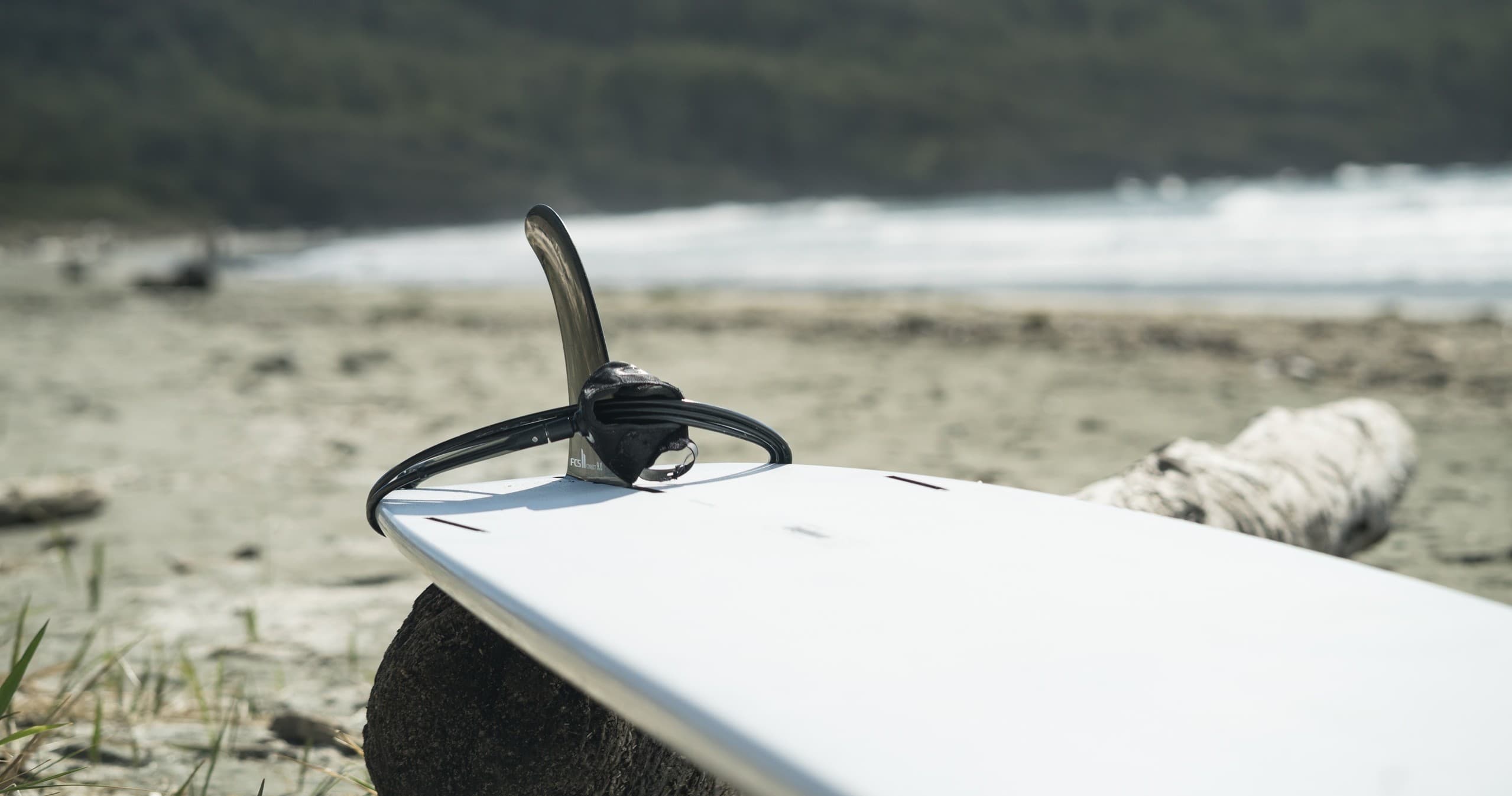 Water Activities: LongBoard Rental at Pacific Surf School