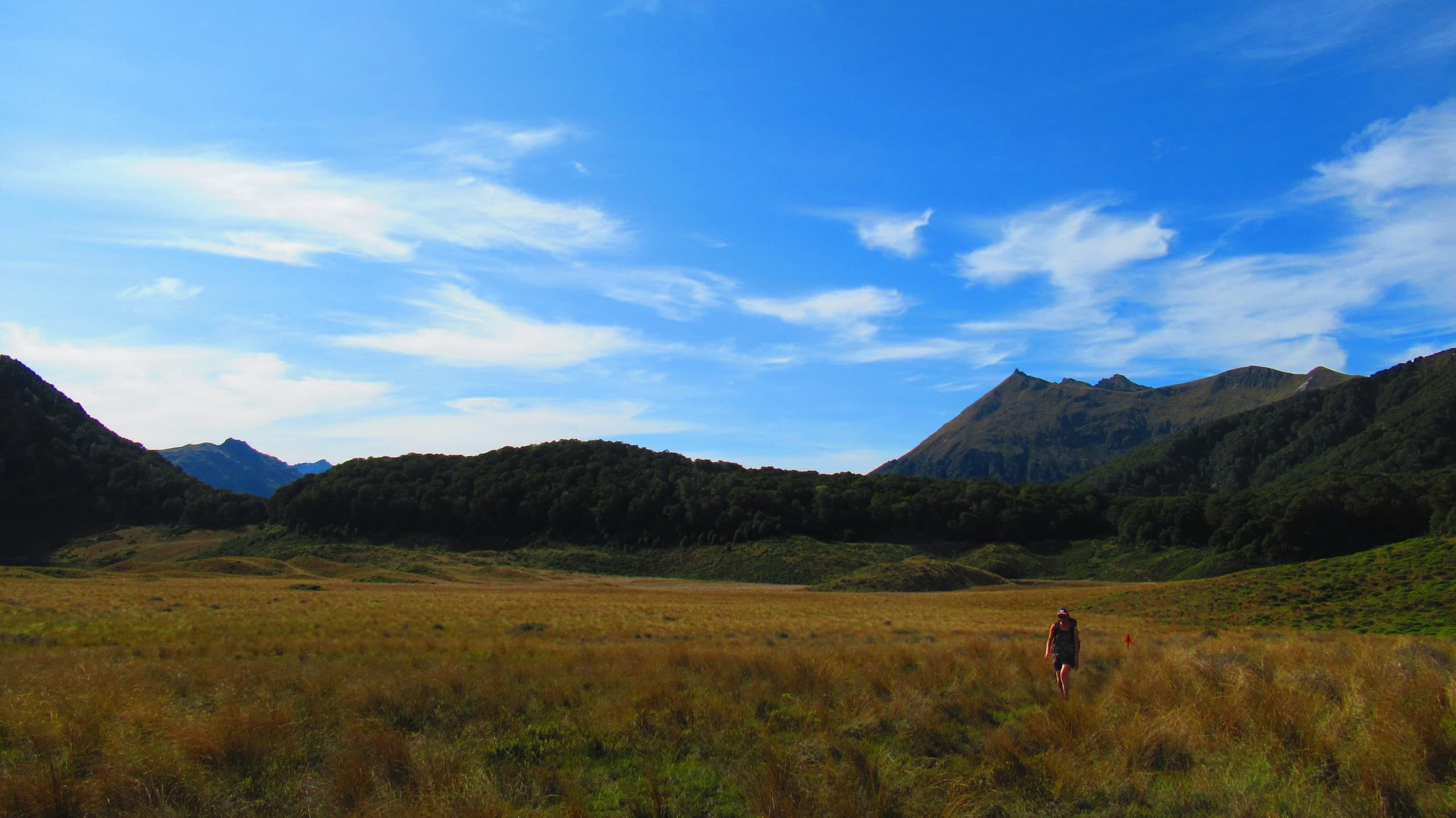 Green Lake Wilderness Escape: Two-Day Hut Overnight in Fiordland photo 3