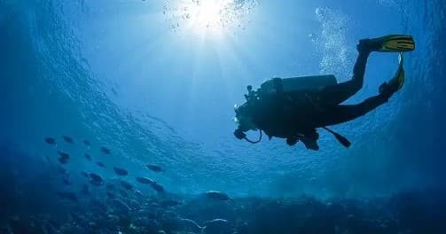 Scuba diver gliding above reef amid tropical fish