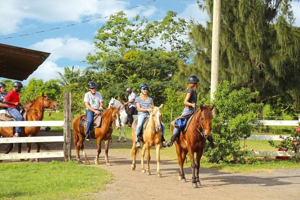 Horseback Riding Adventure in Carolina, Puerto Rico
