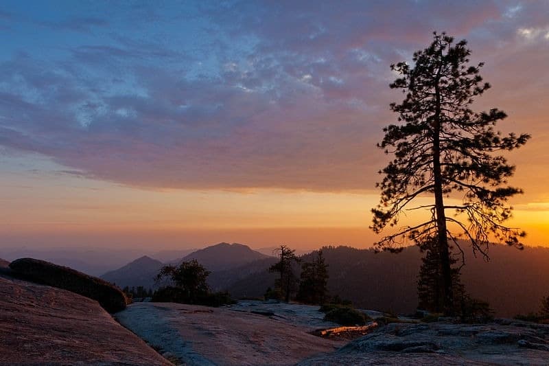 The Golden Hour Sequoia Sunset Walk in Three Rivers