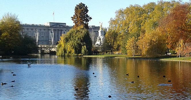 London Cultural Tour with Westminster e National Gallery