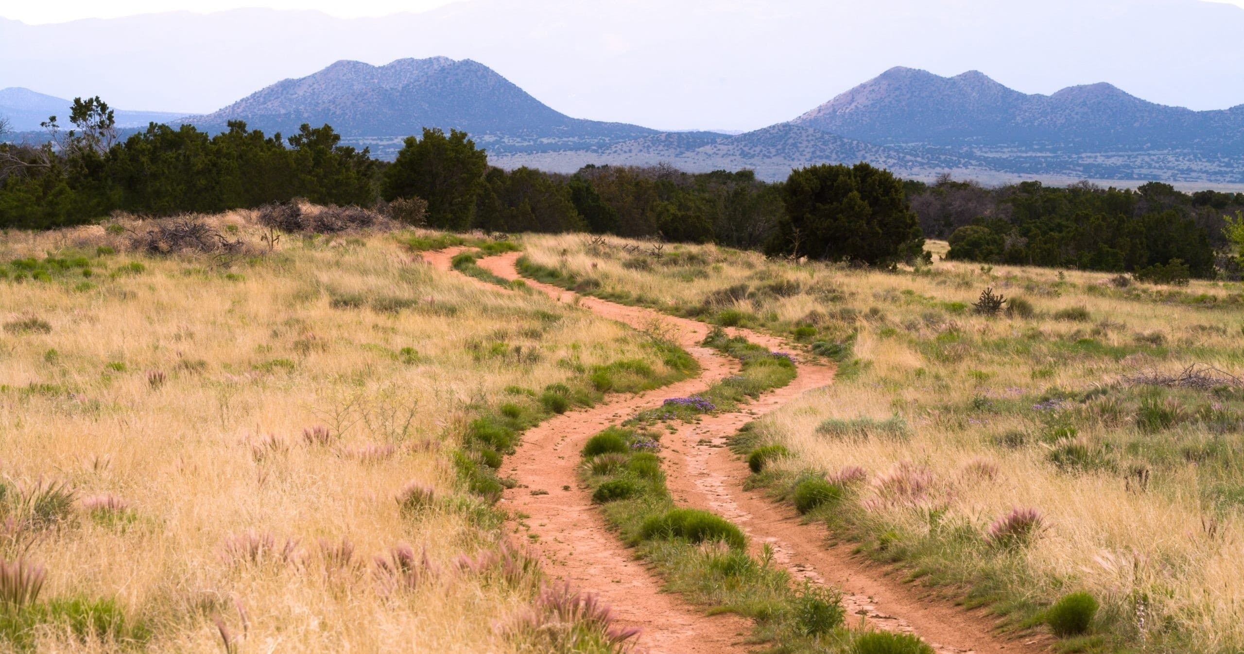 Three-Day Mountain Bike Adventure: San Antonio Mountain to Georgia O’Keefe Country
