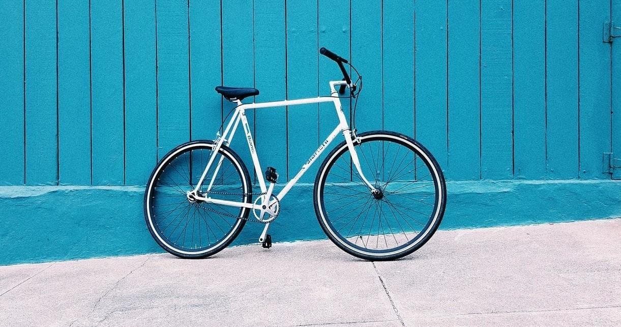 Cycling Adventure with Koala Surf School in Stunning Region