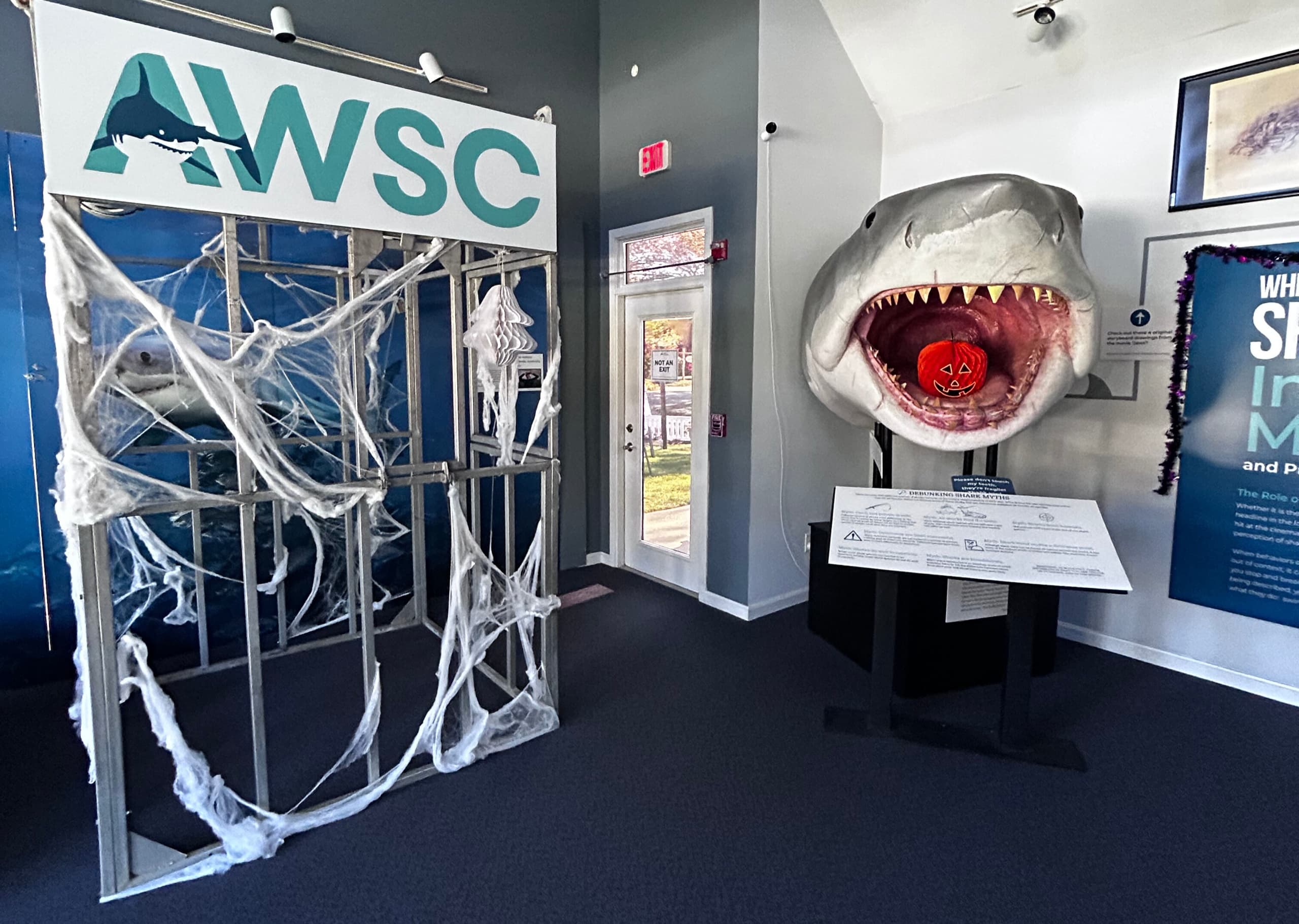 Fintastic Pumpkin Decorating at Shark Center Chatham: A Family-Friendly Coastal Experience