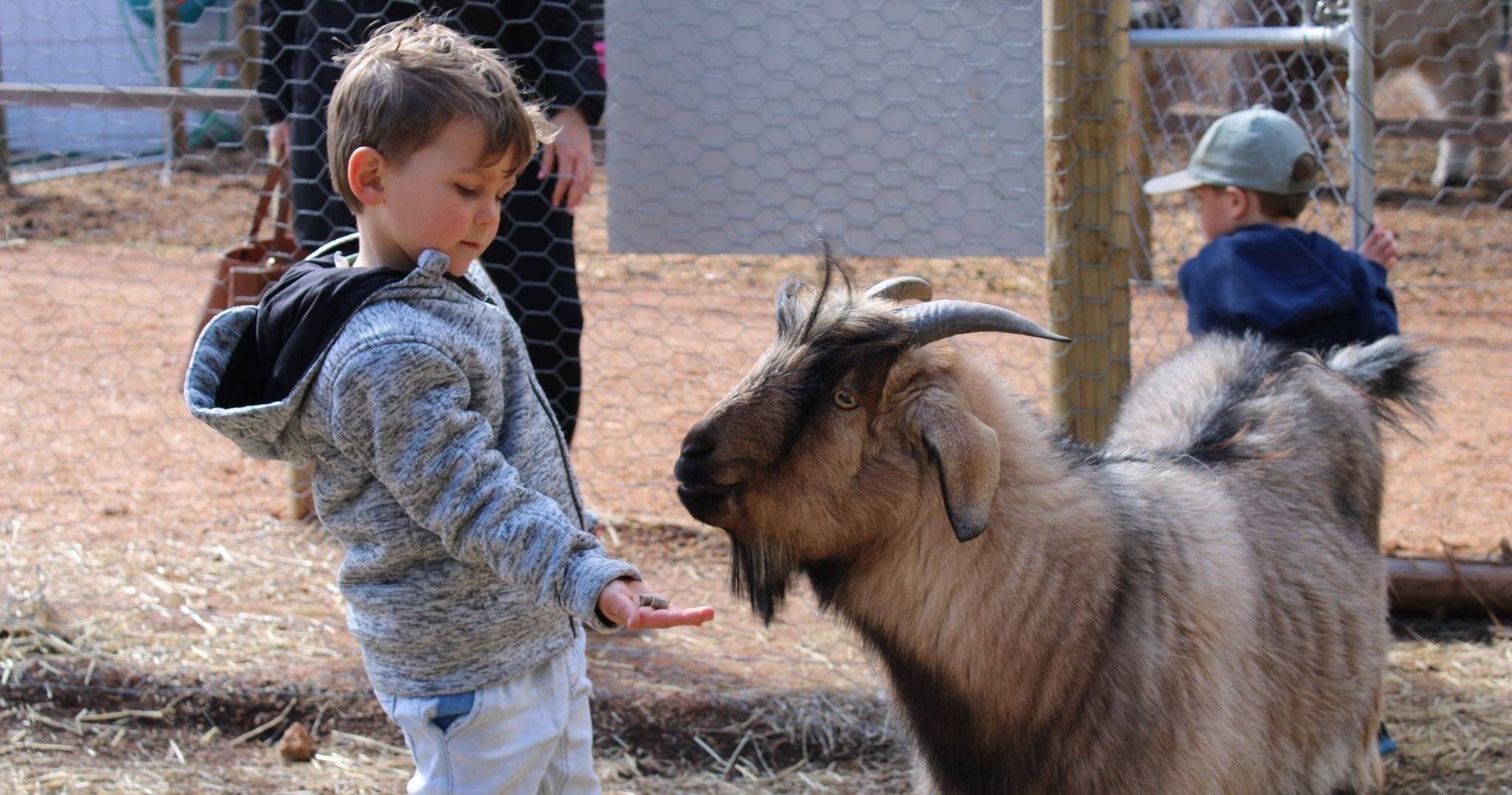 Wildlife & Nature Adventures at Mini Farm with The Yarralumla Play Station
