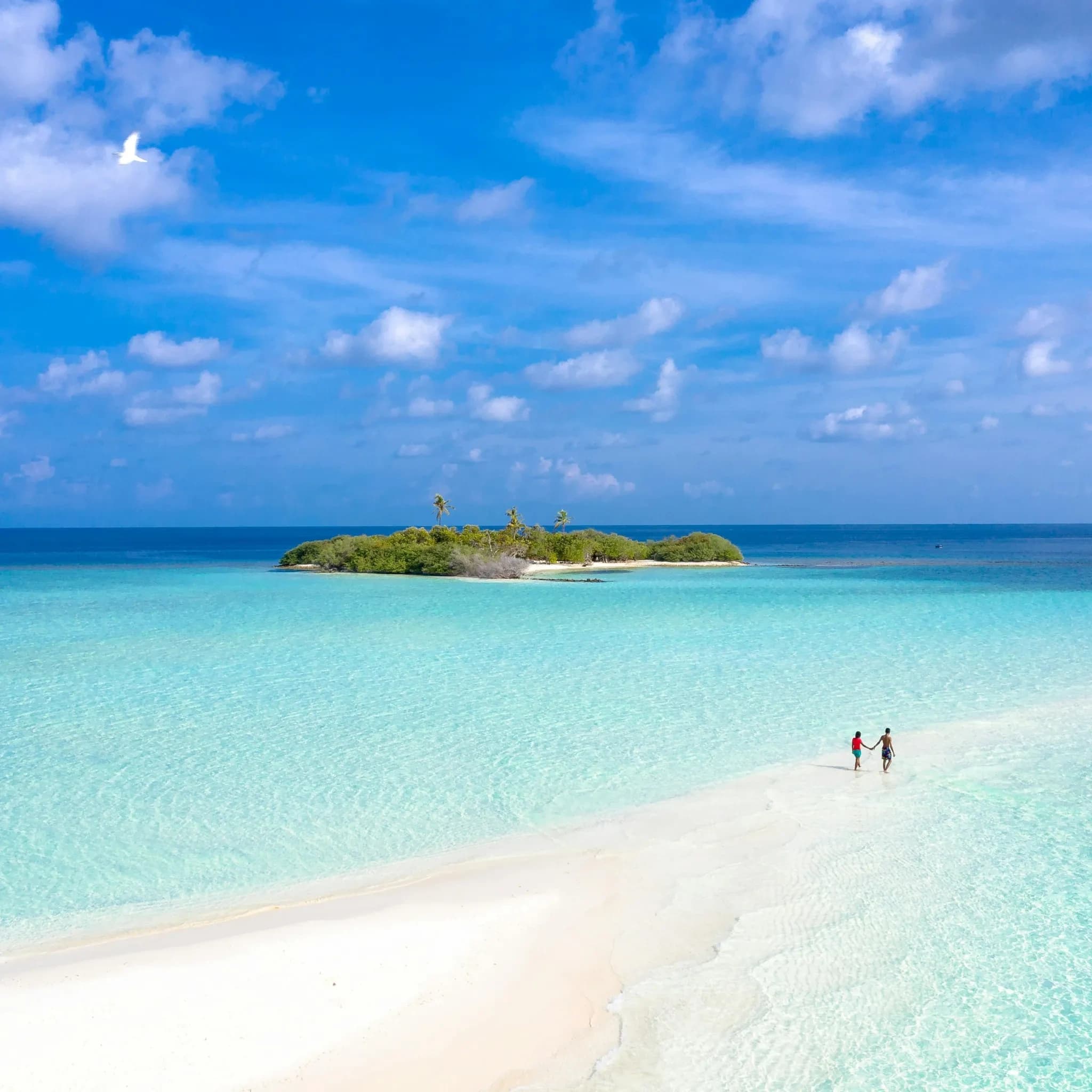 Pristine white-sand island beach in turquoise Bahamas waters