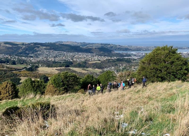 Foraging Walk & Gin Tasting with No8 Distillery Dunedin