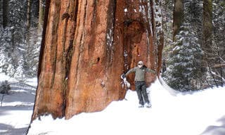Winter Wonderland Private Adventure Package