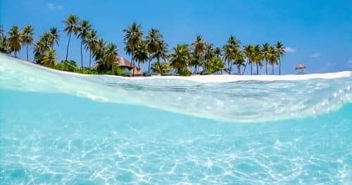 Private Shell Island Catamaran Cruise with Island Time Sailing in Panama City Beach