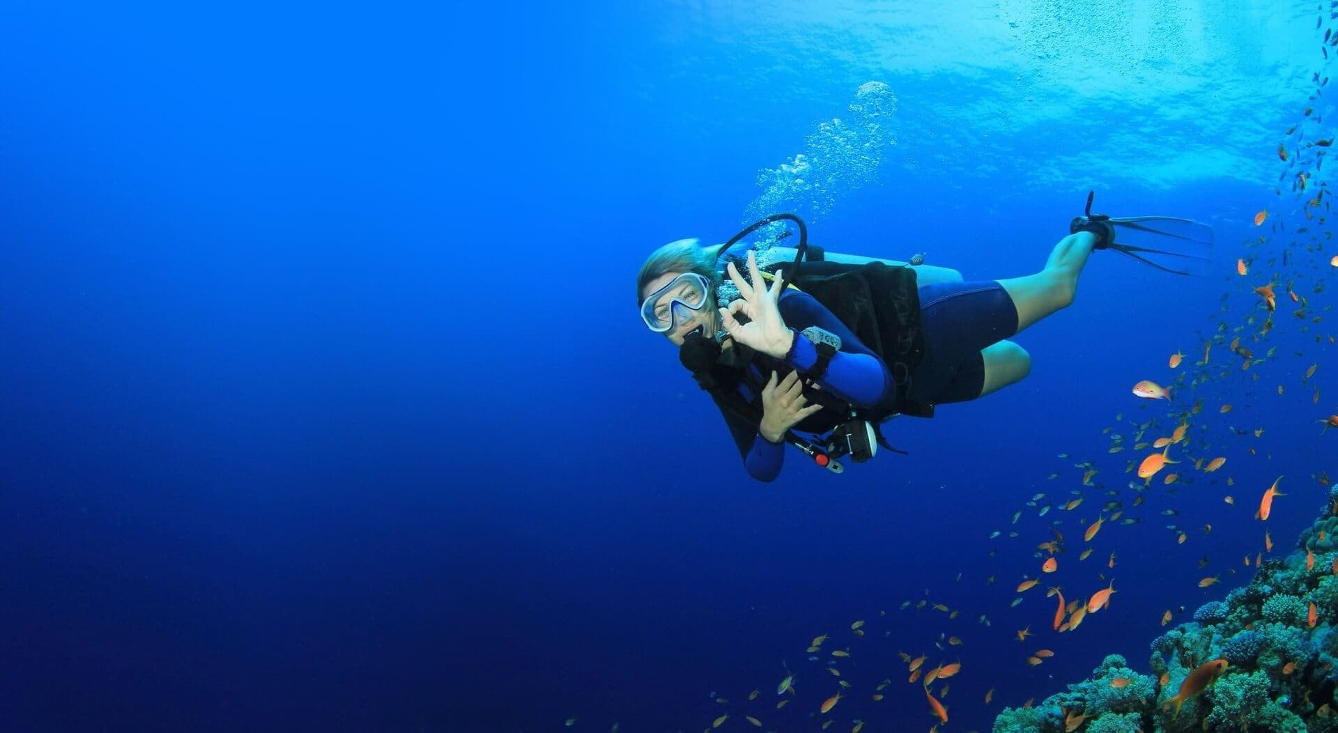 Weekend Open Water Diver Course in Ocala: SSI Certification and Springs Dives