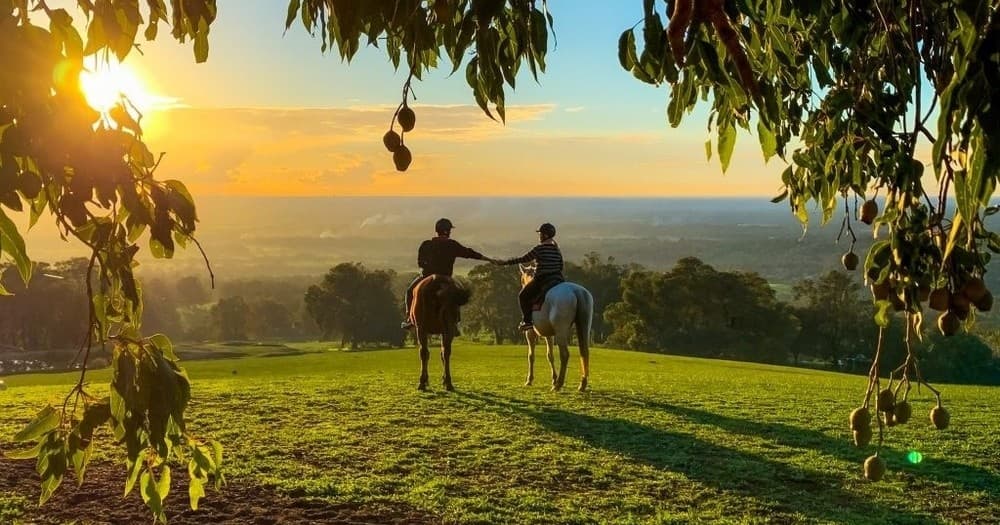 Explore Jarrahdale’s Scenic Hills on a 2-Hour Exclusive Horseback Adventure