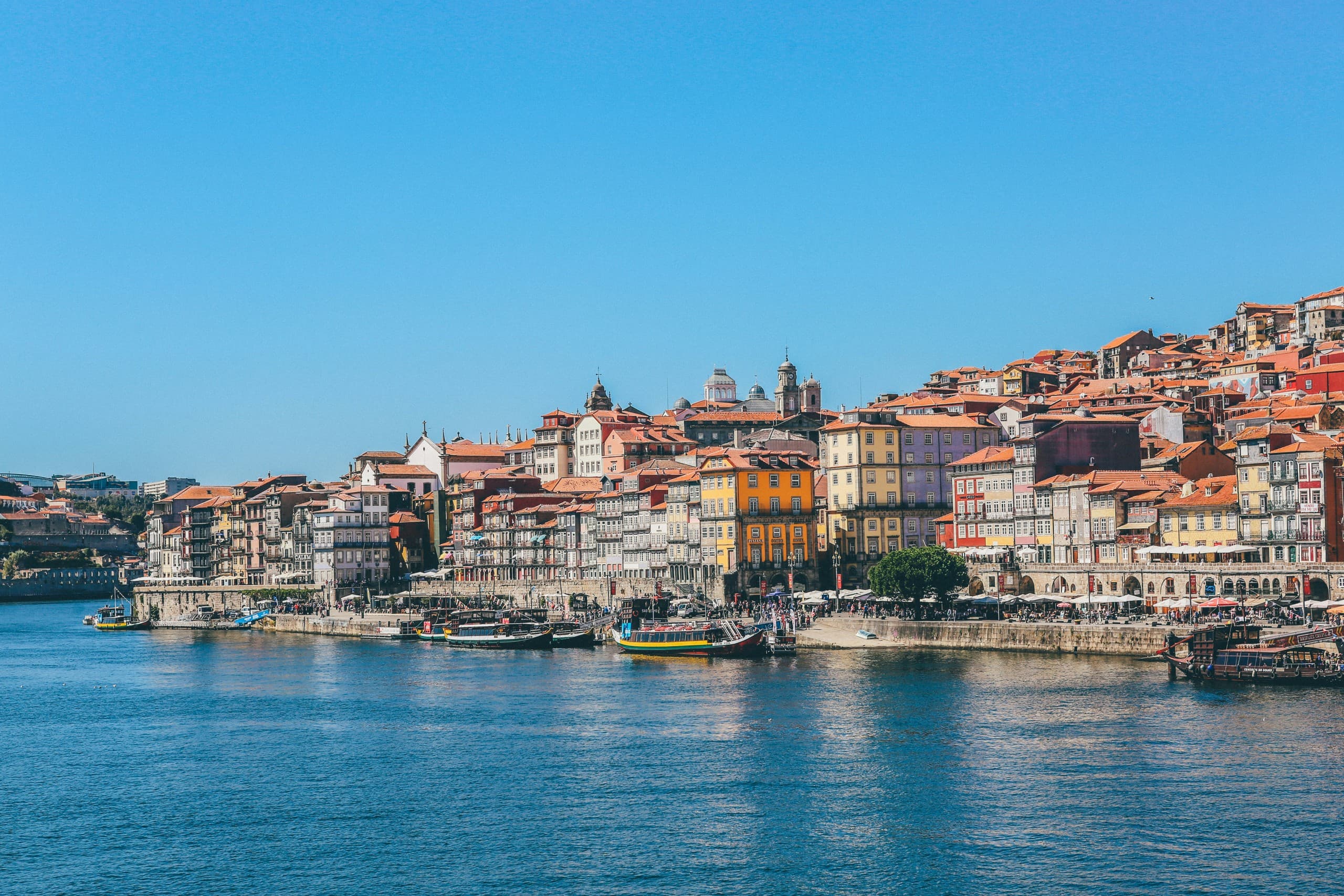 Walk Porto Like a Local: Private 3.5-Hour Guided Walking Tour