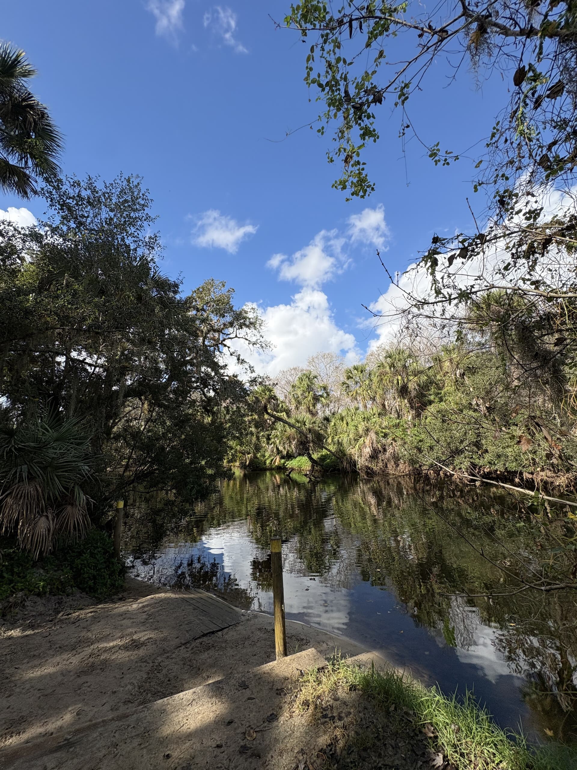 Paddle Turkey Creek: 90-Minute Kayak Tour with Manatees in Palm Bay photo 3