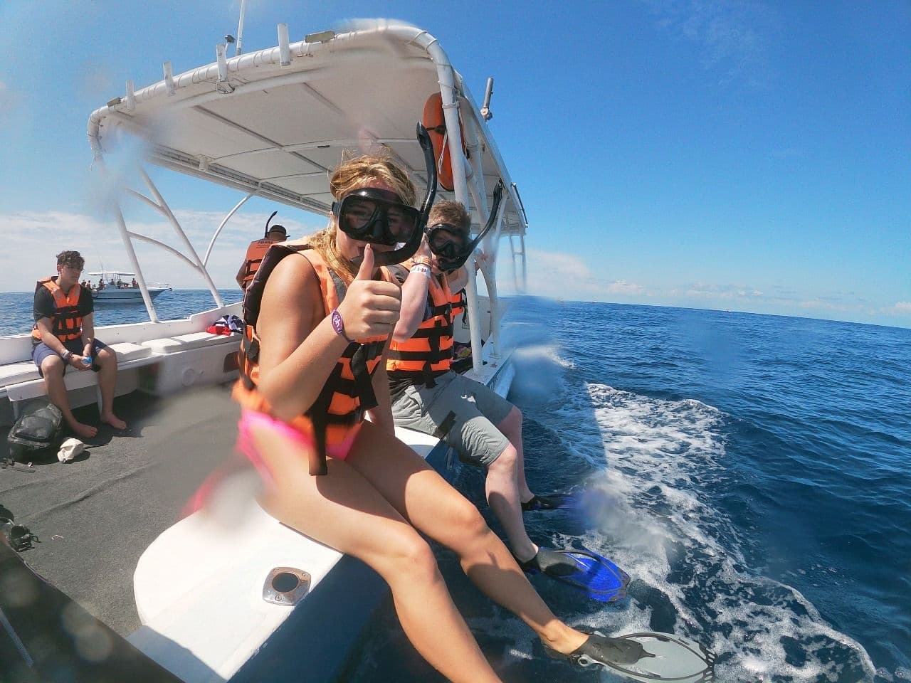 Whale Shark Snorkeling Adventure with Whale Shark Tour Cancun