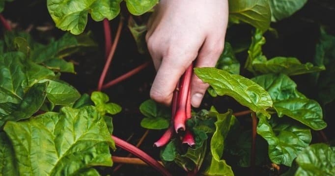 Hands-On Farm Life in Montejo de la Sierra with Farm Experiences & Tours