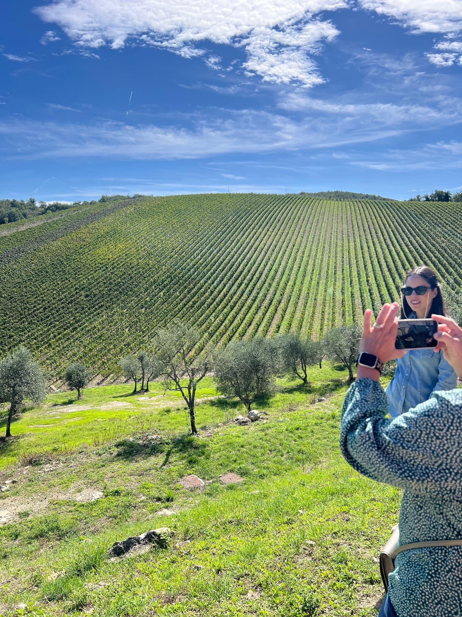 Vineyard walking tour in Tuscan hills with visitors photographing vines