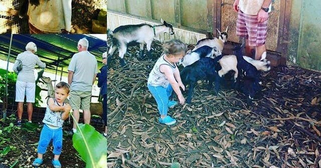 Kauai Kunana Dairy Tour: Farm & Goat Experience in Hawaii photo 1