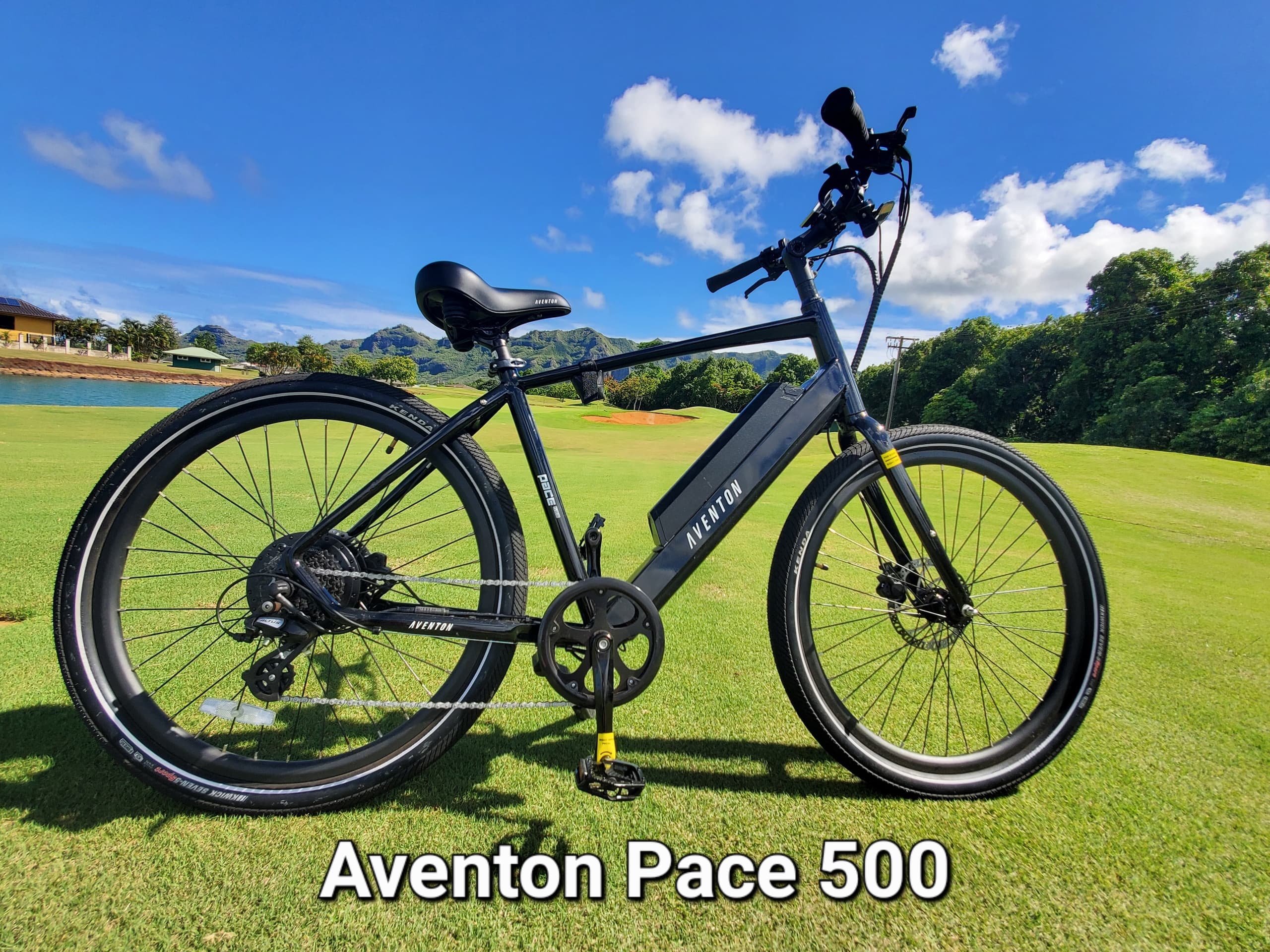 Ebike Rentals in Koloa by Kauai Ebikes: Effortless Island Adventures