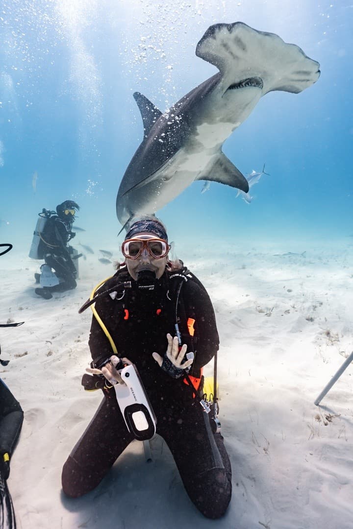 Inside Bimini's Sharks: A Virtual Travel Journal with Jillian Morris-Brake