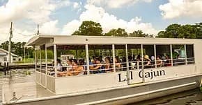 Water Activities: LaBiche Swamp Tours - Bayou Adventure Experience