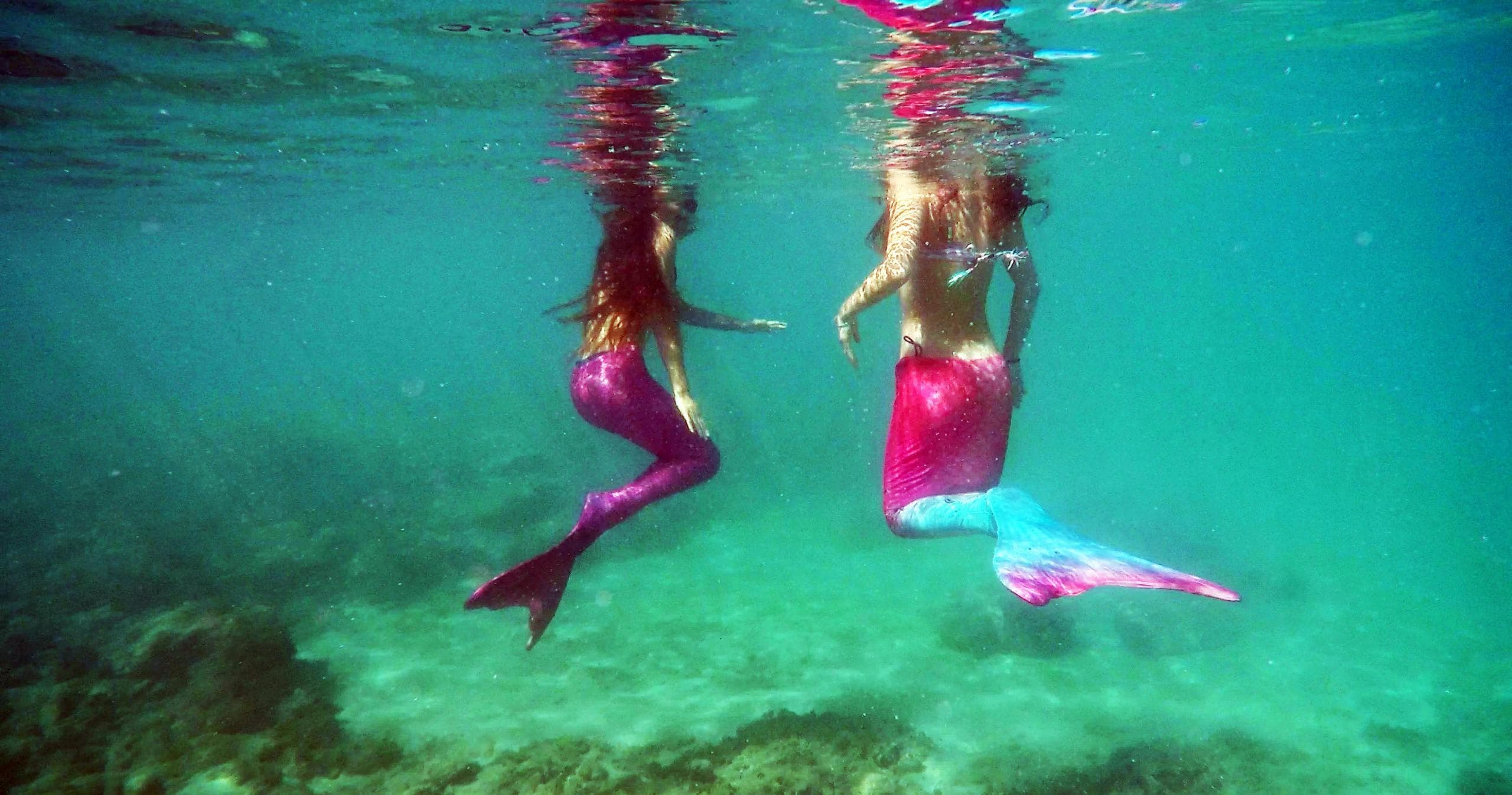 Mermaid Snorkel Tour & Photo Shoot in Honolulu, Hawaii