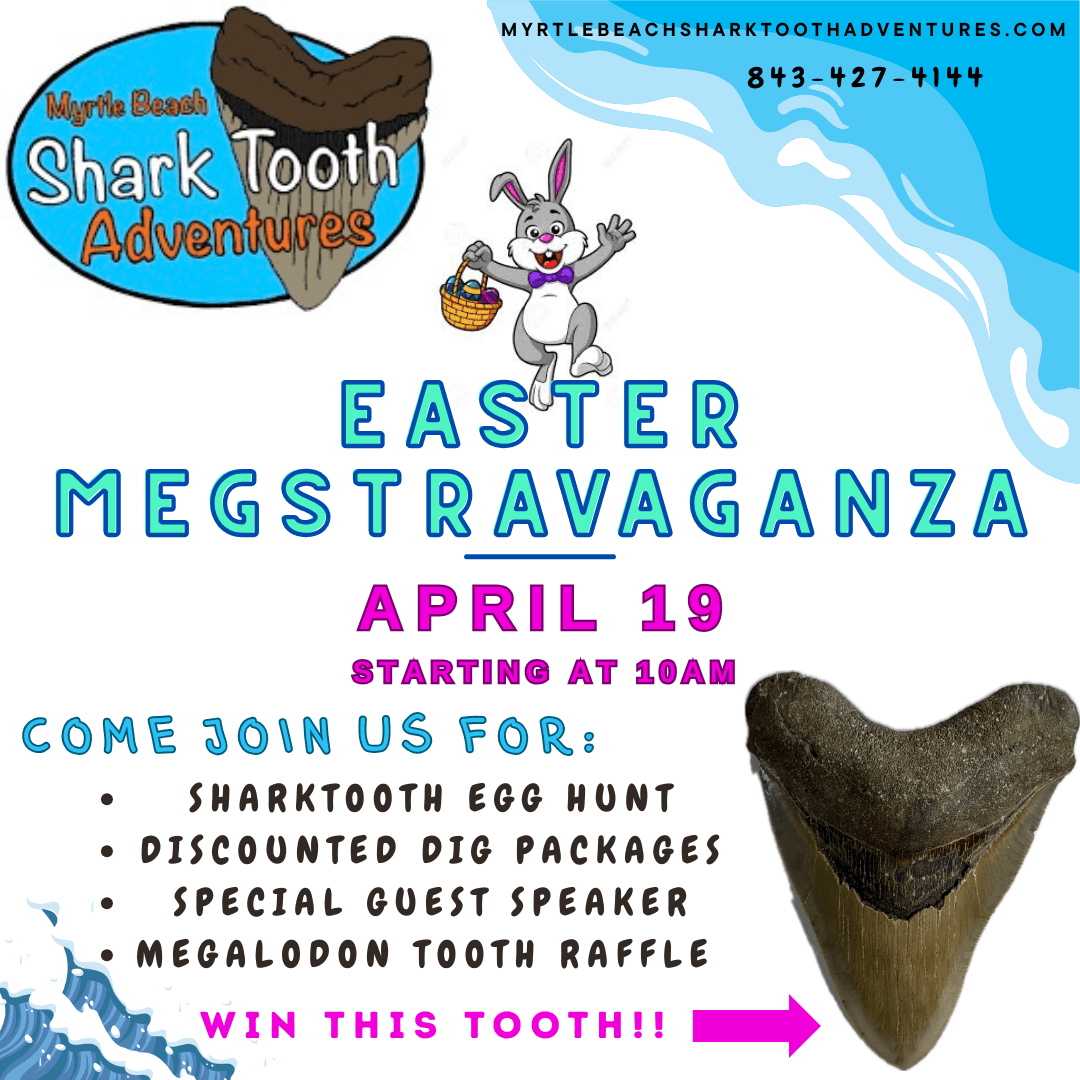 Easter MEGSTRAVAGANZA in North Myrtle Beach: Ultimate Shark Tooth Hunt for Kids
