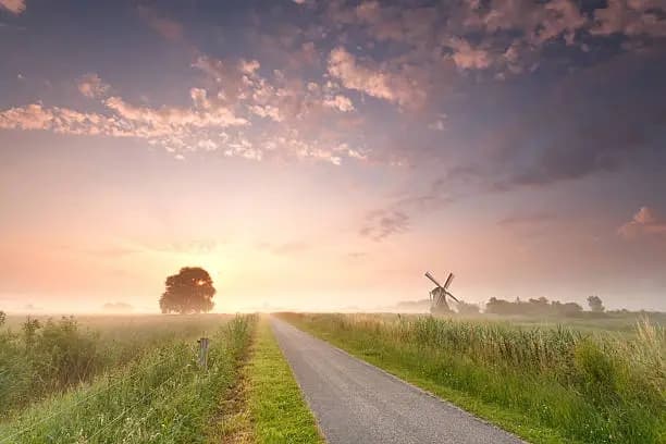 Land Adventure with Drop-Off Service in Delft