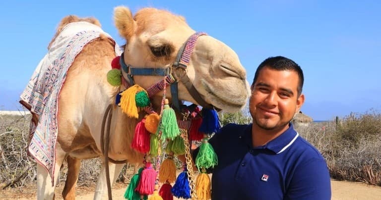 Camel Safari & Beach Adventure with Morcabo Tours in Los Cabos