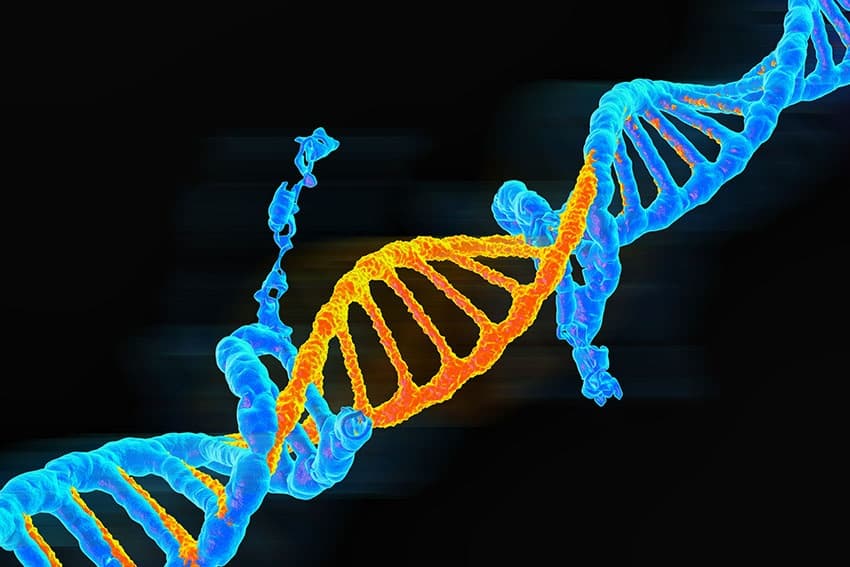 Escape the Alien Lab: Mutation Protocol Adventure in New Smyrna Beach, FL