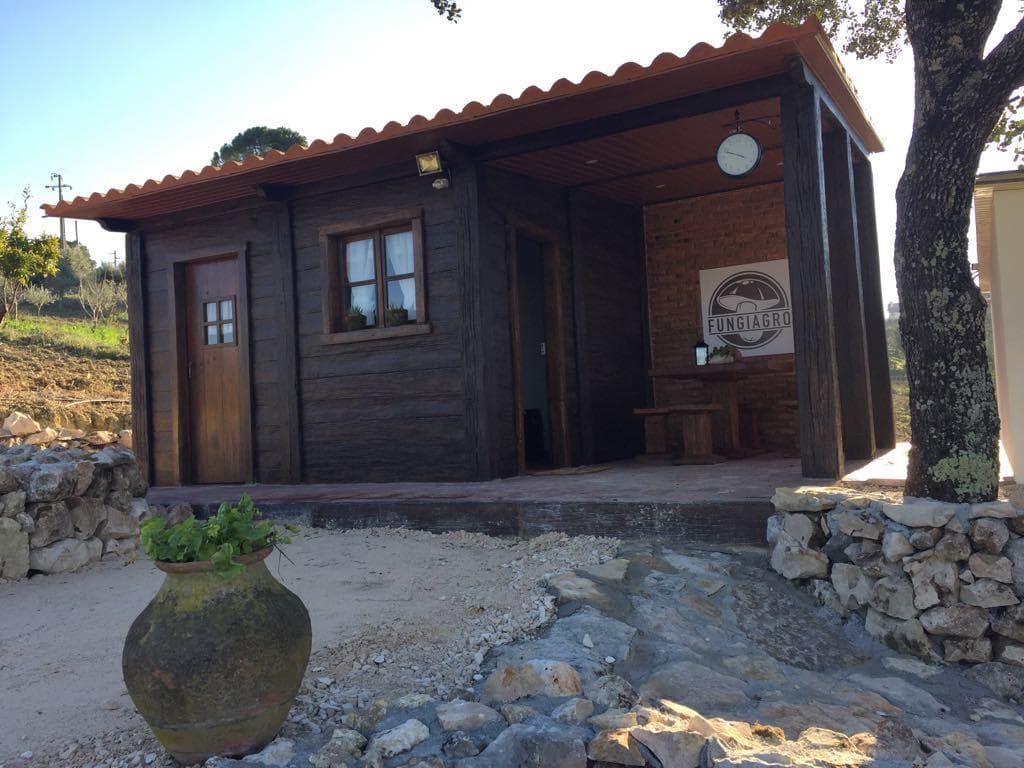 Organic Shiitake Farm Tour in Torres Novas | Farm Experiences & Tours