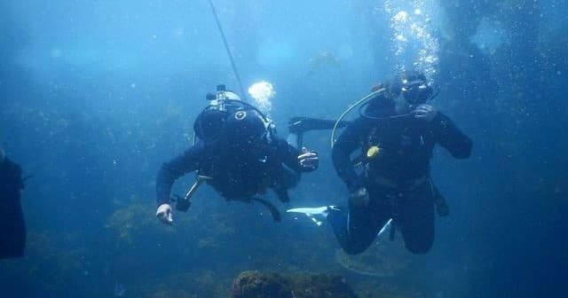 Cozumel DSMB Workshop: Master Safe DSMB Deployment on Drift Dives