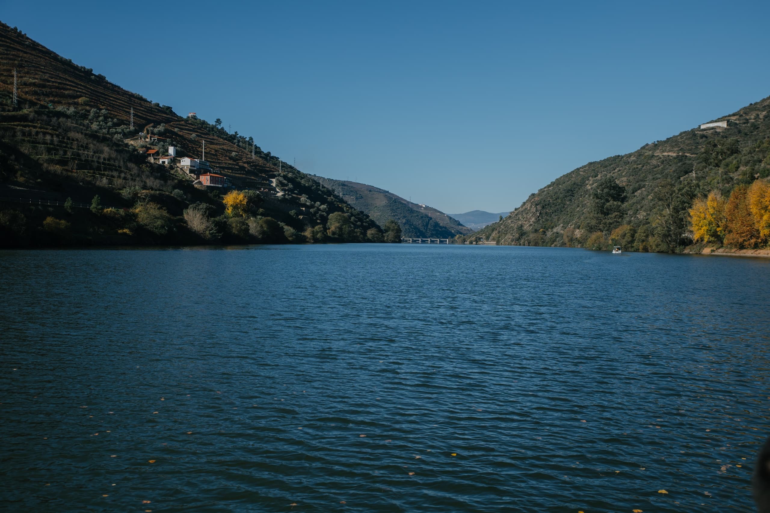 Full-Day Douro Cruise from Ribadouro to Régua: Invictus River Experience photo 2