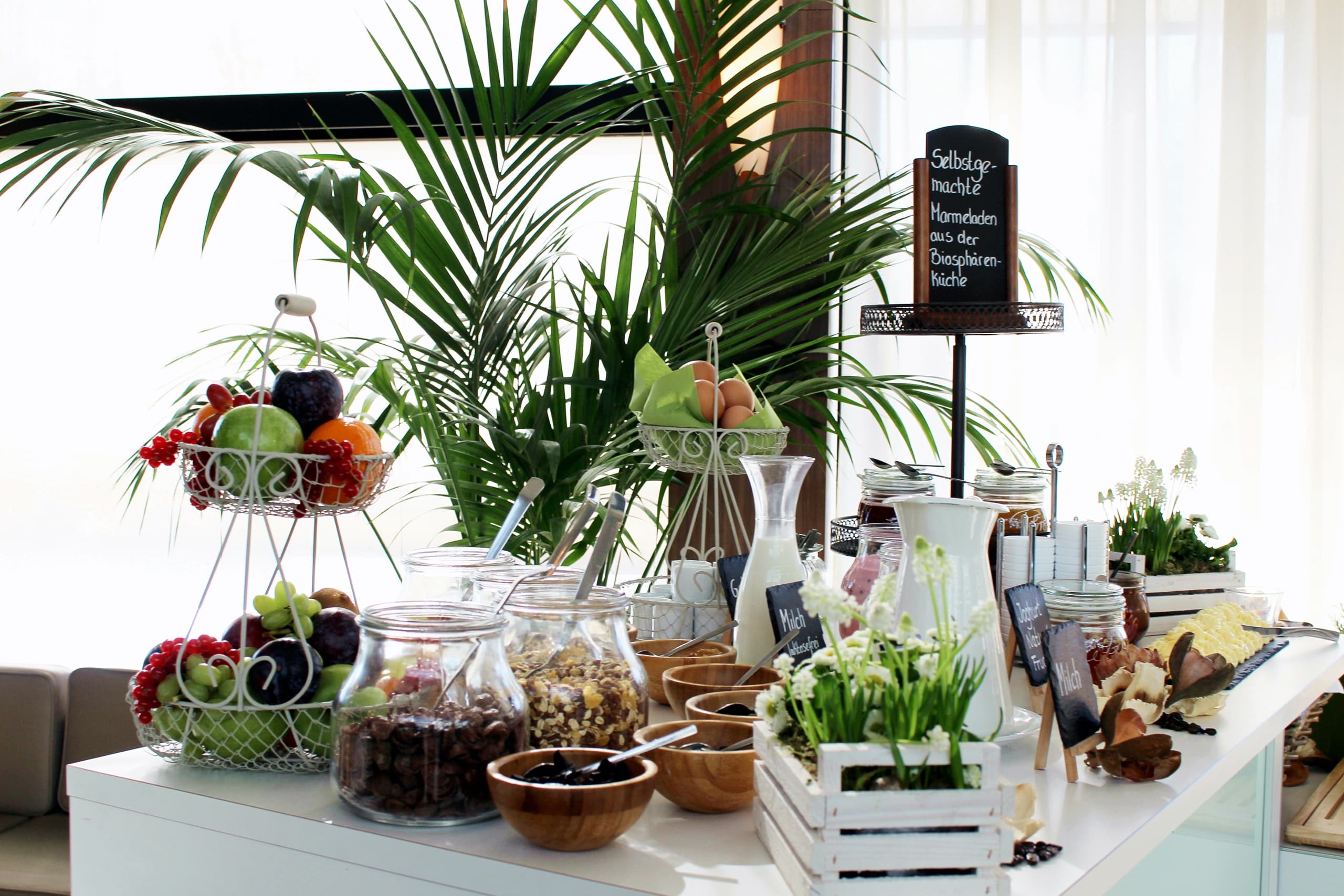 Festtagsbrunch in Biosphäre Potsdam: Tropical Brunch and Rainforest Adventure