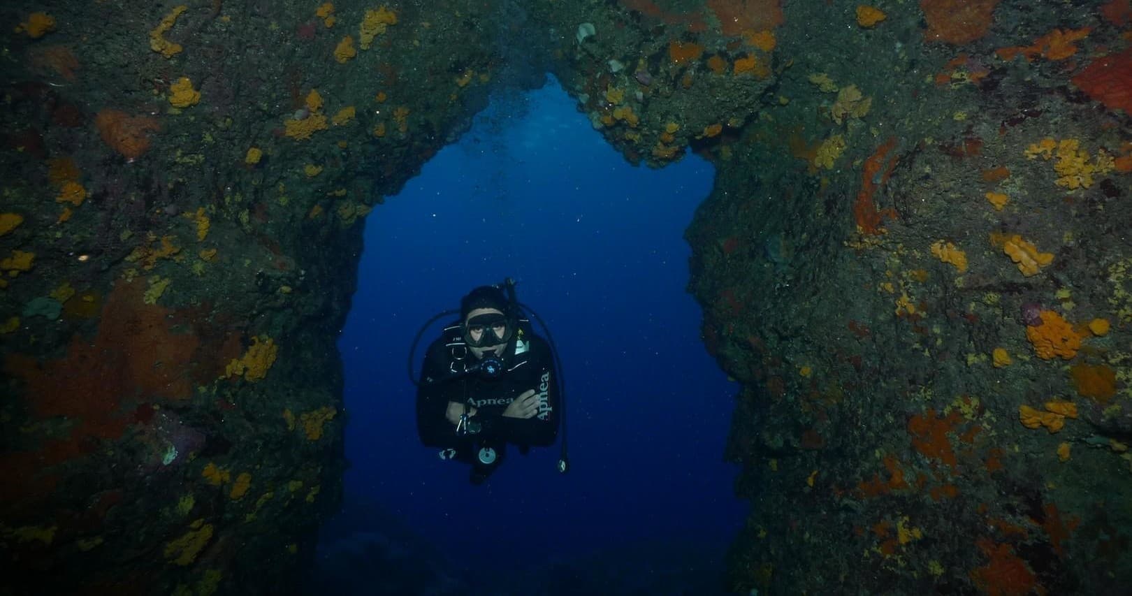 Master Emergency First Response in Chania’s Crystal Waters: Your Essential Diving Certification